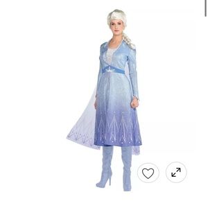 Adult Elsa Costume